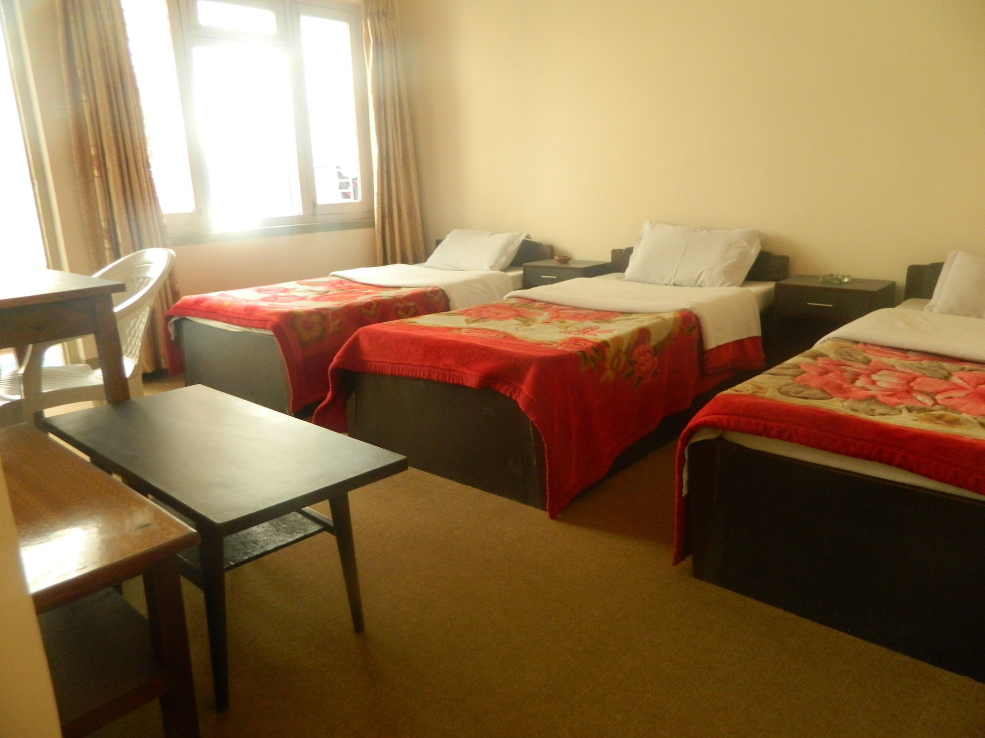 Om Tara Guest House Pvt Ltd Катманду Екстер'єр фото